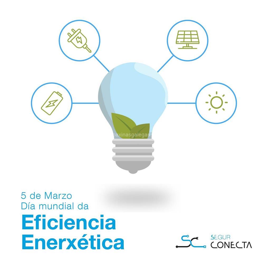 Segurconecta imagen 7