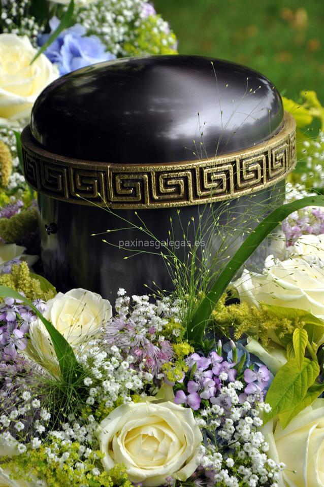 Servicios Funerarios Santa Ana imagen 6