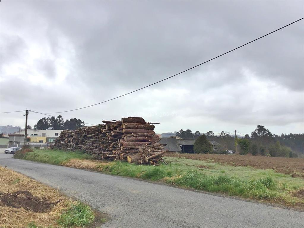 imagen principal Servicios Madereros y Aserraderos, S.L.