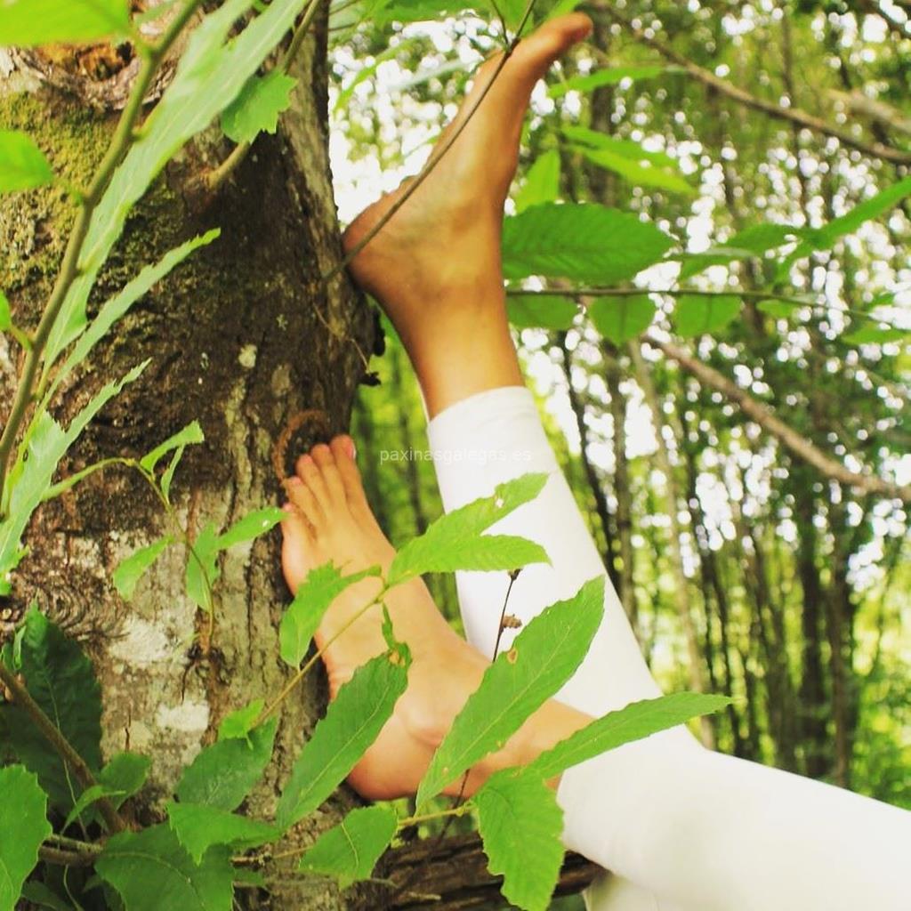 Sisiva Yoga Estudio imagen 9