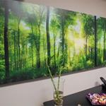 Foto de la empresa (4)