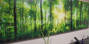 Foto de la empresa (1)