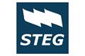 logotipo STEG - Sindicato de Traballadoras e Traballadores do Ensino de Galicia