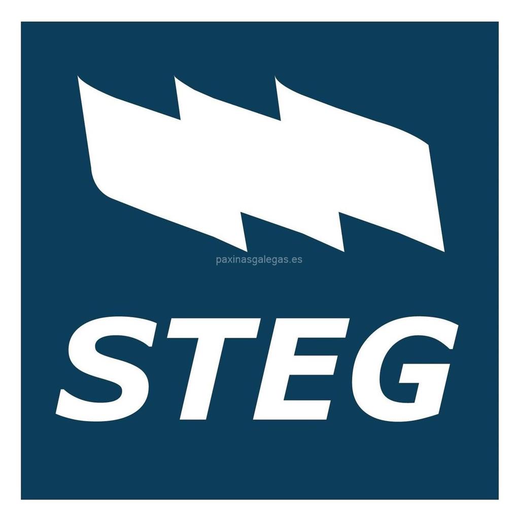 logotipo STEG - Sindicato de Traballadoras e Traballadores do Ensino de Galiza