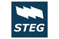 logotipo STEG - Sindicato de Traballadoras e Traballadores do Ensino de Galiza