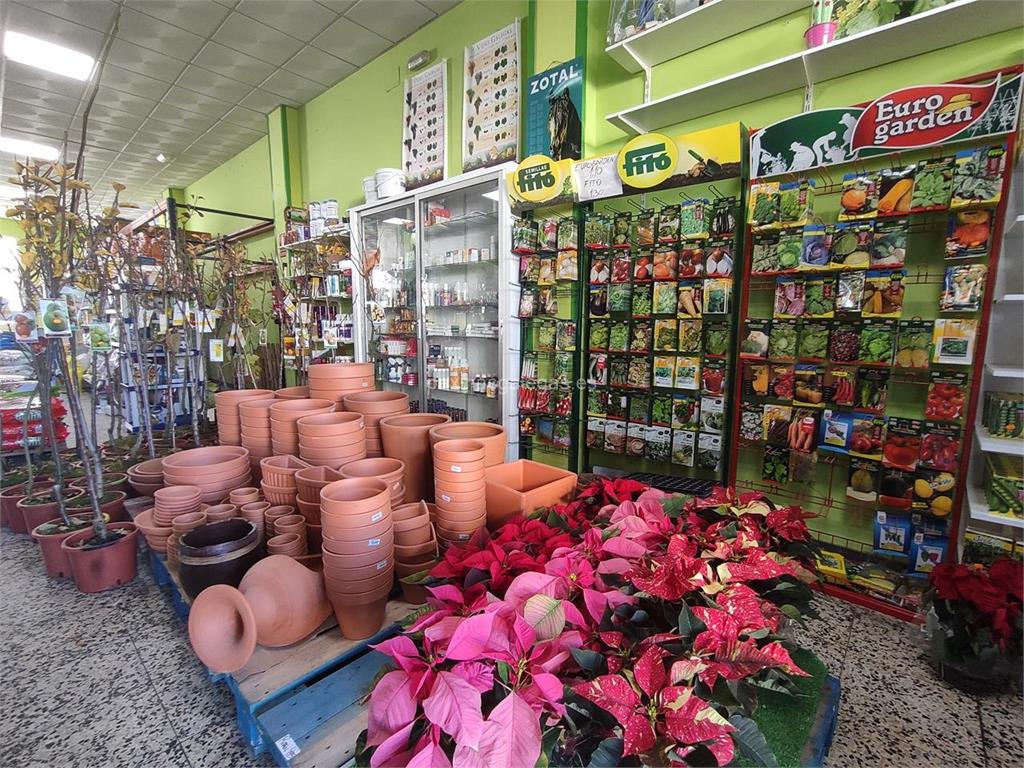 Supermercado Agrícola imagen 7
