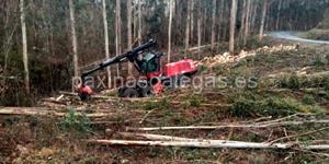 Foto de la empresa (1)