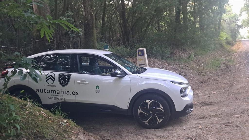 imagen principal Taxi Anabel París Tomé