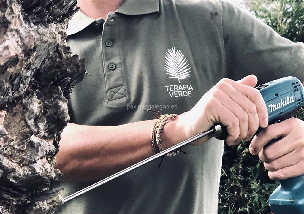 imagen principal Terapia Verde