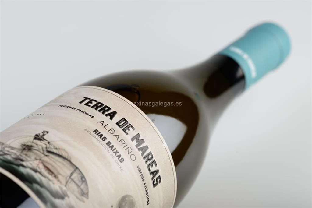 imagen principal Terra de Mareas (Albariño)