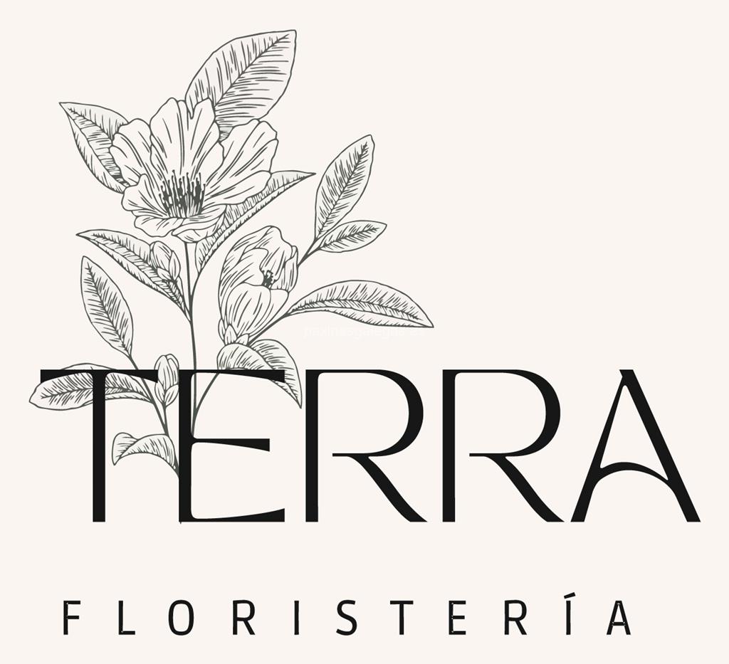 logotipo Terra