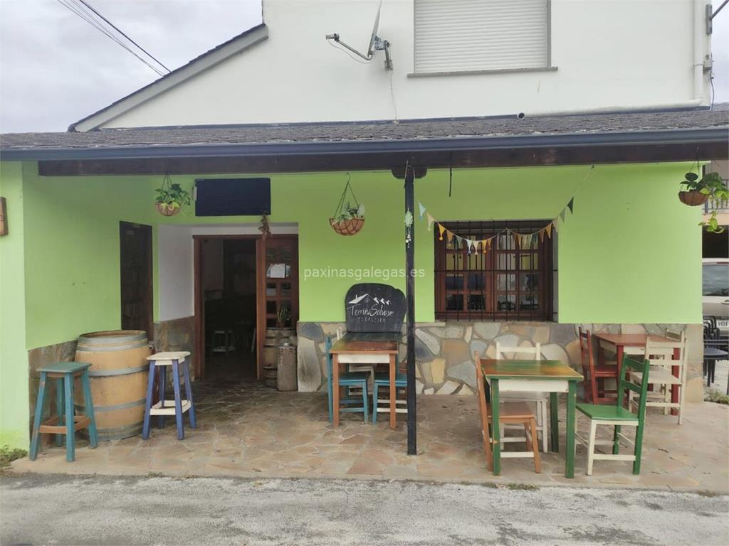 imagen principal Terriña Salvaxe