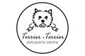 logotipo Terrier - Terrier