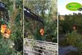 video corporativo Tierra y Jardín