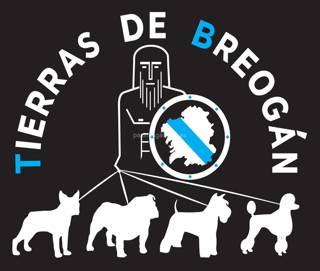 logotipo Tierras de Breogán