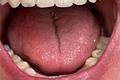 imagen 5 Titanium Clínica Dental & Estética