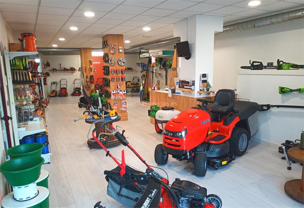 Toedo (Husqvarna) imagen 12