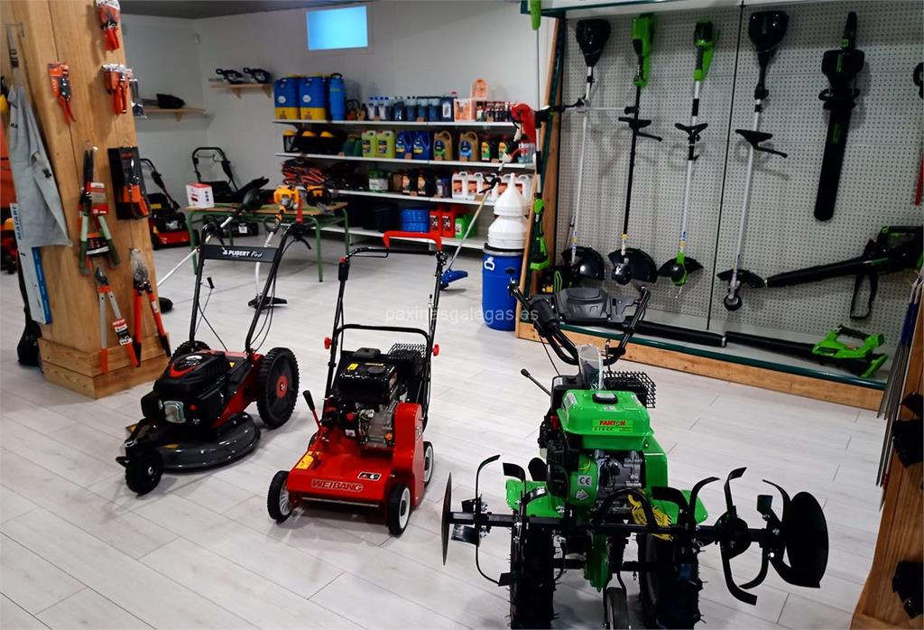 Toedo (Husqvarna) imagen 6