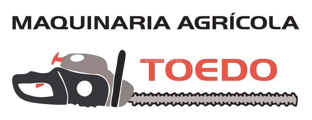logotipo Toedo (Husqvarna)