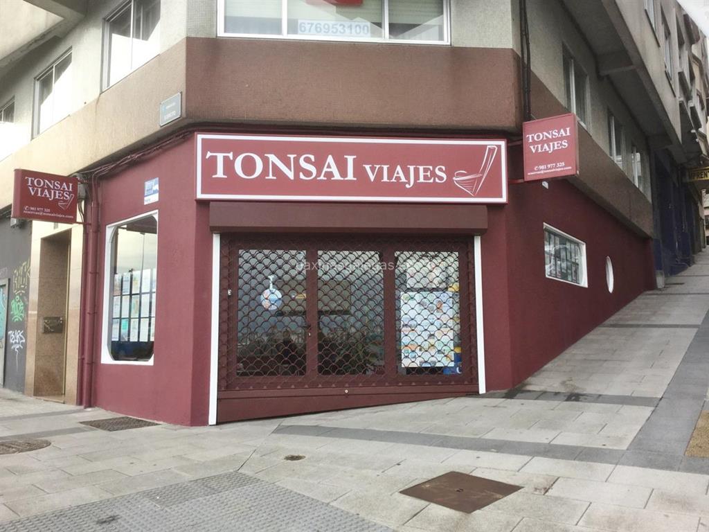 imagen principal Tonsai