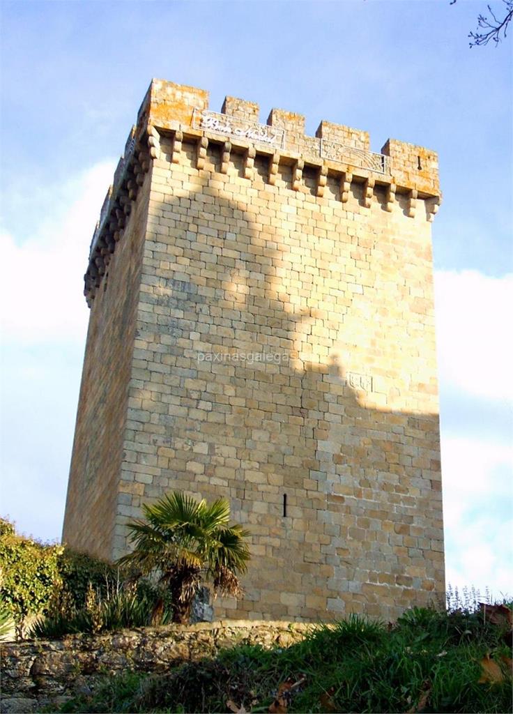 imagen principal Torre del Homenaje de Monforte