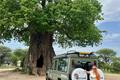 imagen principal Tours Land Safaris