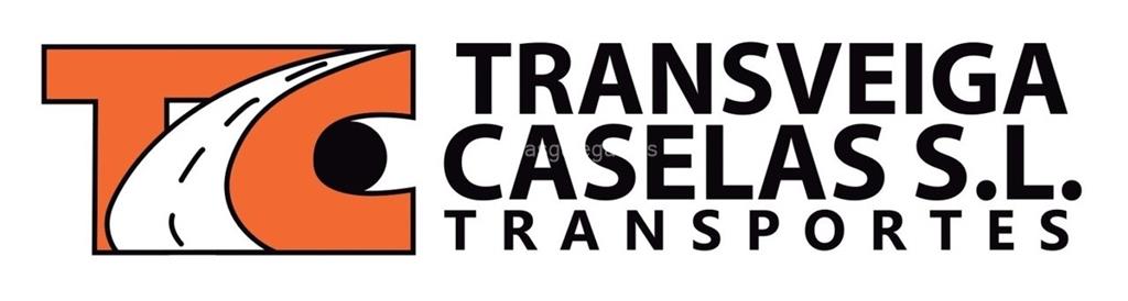 logotipo Transveiga
