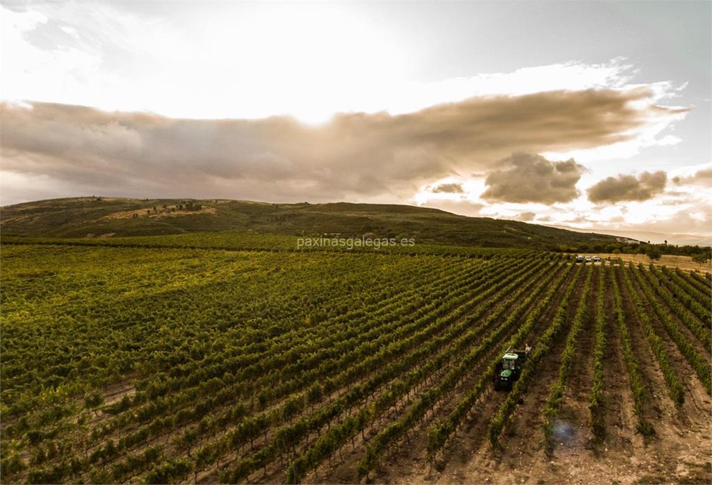 imagen principal Trasdovento (Quérote / Treixadura, Godello y Mencía)