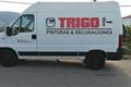 imagen principal Trigo