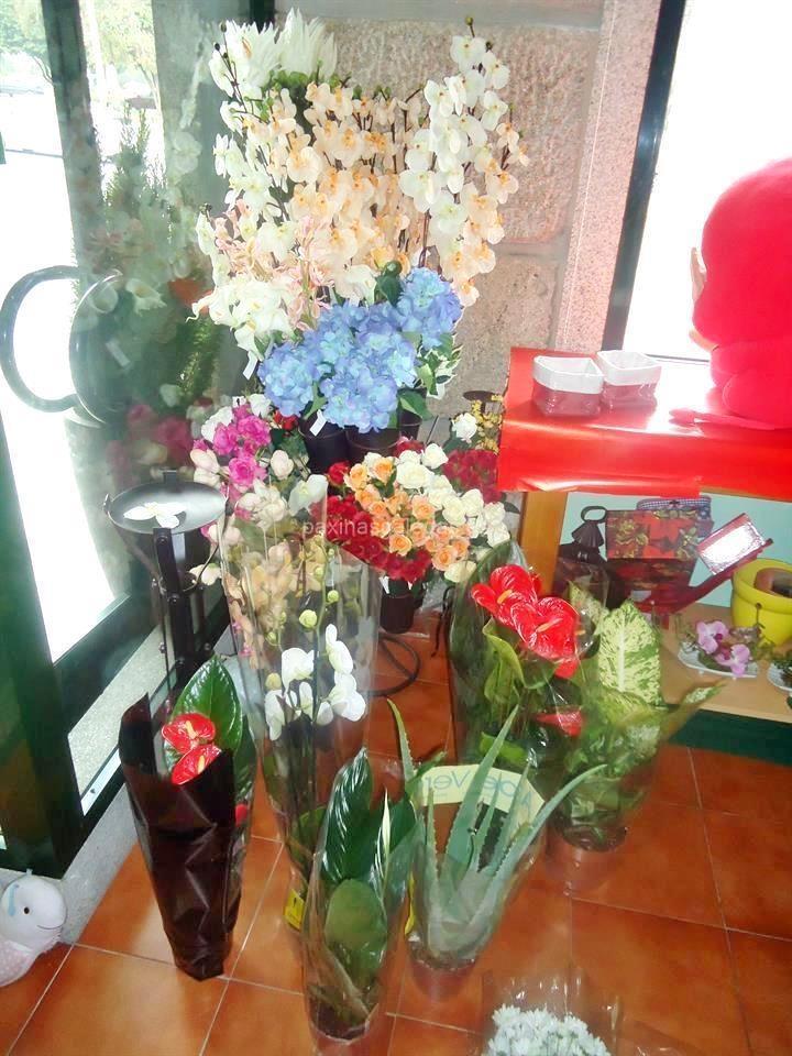 Trudel Waidele imagen 12