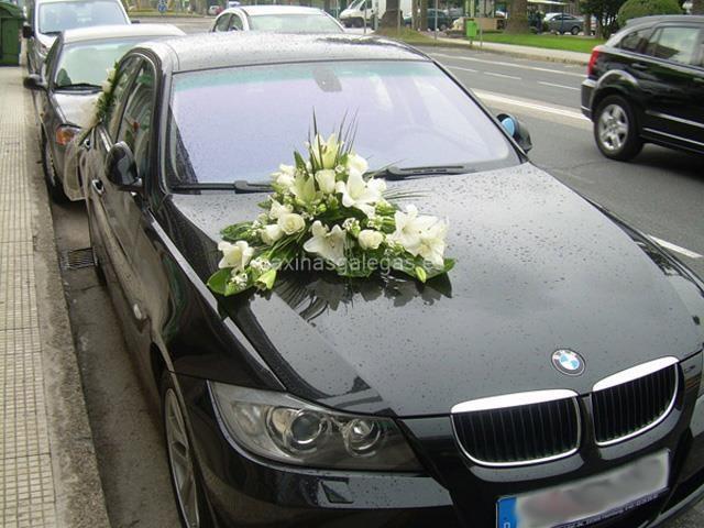 Trudel Waidele imagen 14