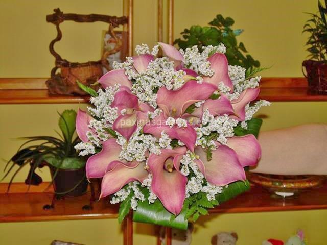 Trudel Waidele imagen 15