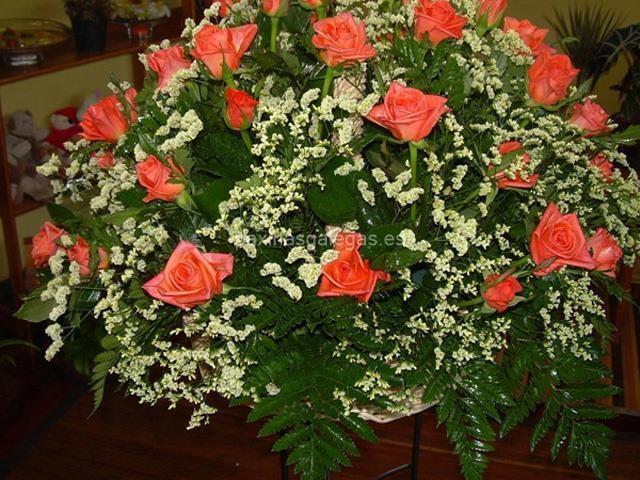 Trudel Waidele imagen 16