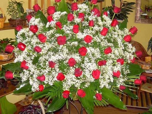 Trudel Waidele imagen 17