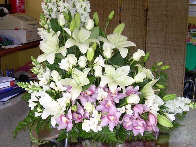 Trudel Waidele imagen 18