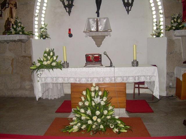 Trudel Waidele imagen 19