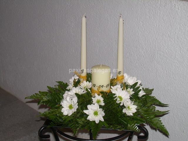 Trudel Waidele imagen 20