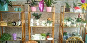 Foto de la empresa (1)