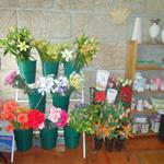 Foto de la empresa (2)