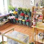 Foto de la empresa (4)