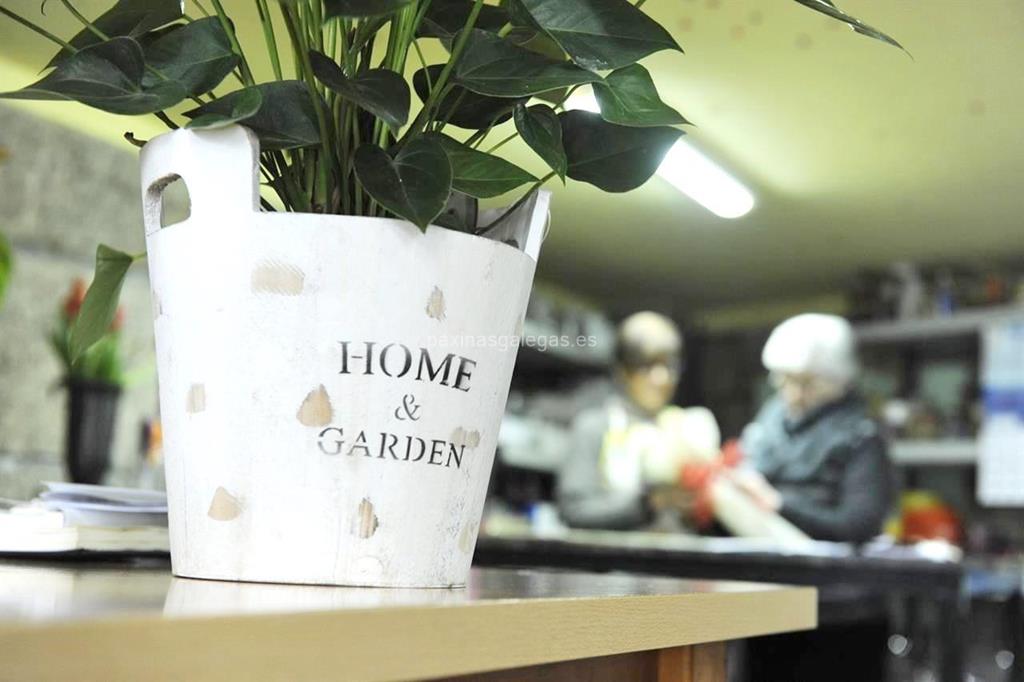 Trudel Waidele imagen 6