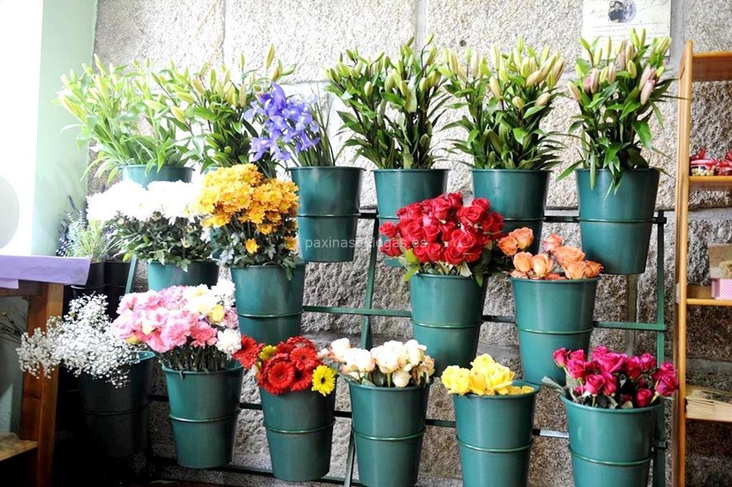 Trudel Waidele imagen 7