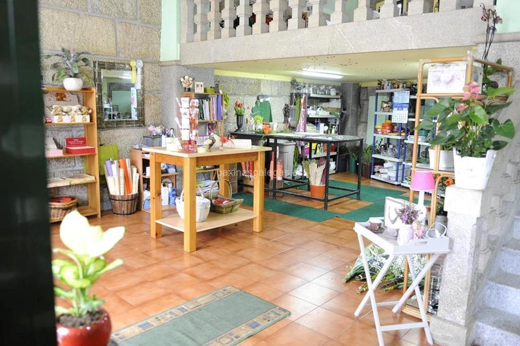 Trudel Waidele imagen 8