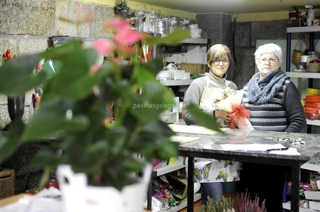 Trudel Waidele imagen 10