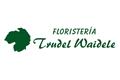 logotipo Trudel Waidele