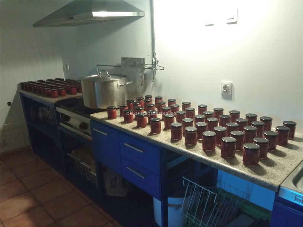 imagen principal Tuta Fruta
