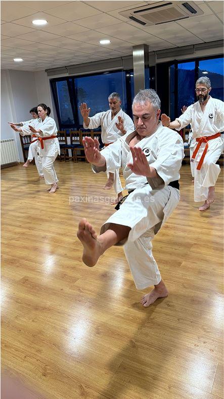 imagen principal Umi Dojo