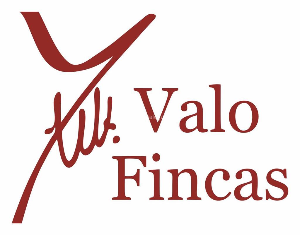 logotipo Valo Fincas
