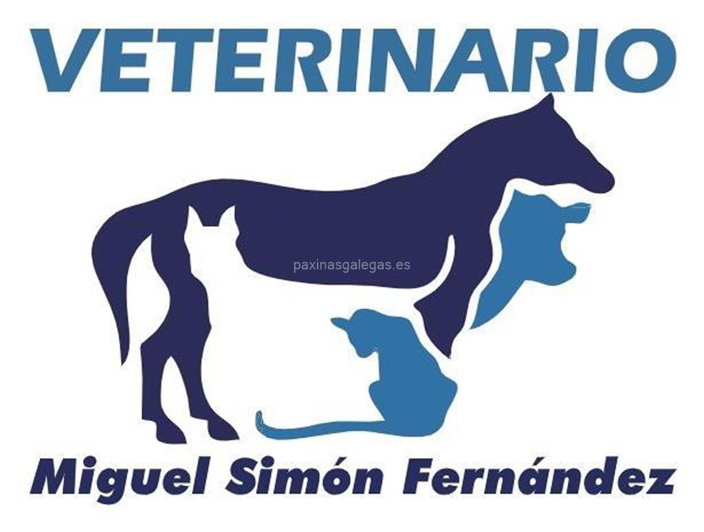 logotipo Veterinario Miguel Simón Fernández