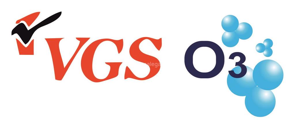 logotipo VGS